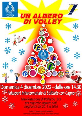resized albero di volley